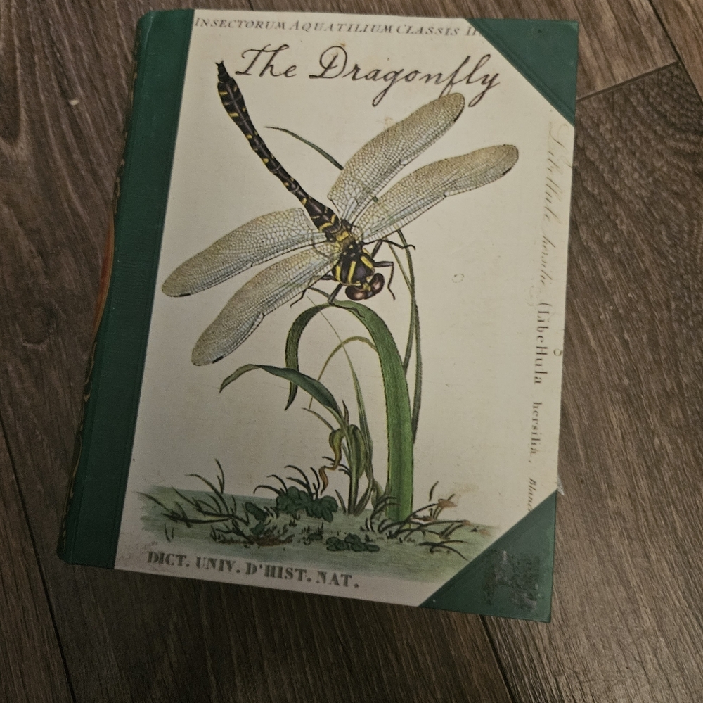 Dragonfly Book Box Note Cards - Picture 1 of 4